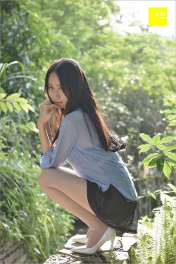 美第奇家族